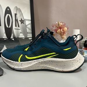 Nike Air Zoom Pegasus 37 shield running shoes